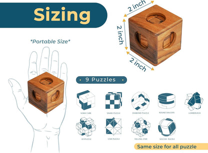 BSIRI 16 in 1 Wooden Brain Teaser Puzzles for Adults and Teens or Kids Interlocking 3D Mini Wood Mind Games Hand Puzzle Teasers Set Toys Coffee Table Games Gift