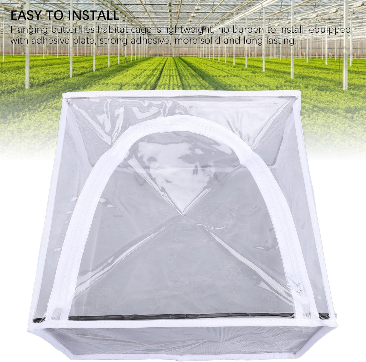 Butterflies Mesh Cage, Wall Mounted Cage for Hanging Butterflies, Small Enclosure with Adhesive Plate, Transparent Design for Observing Growing Process