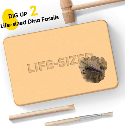 Dinosaur Dig Kit - Excavate 2 Life-Sized Fossils (T.Rex Claw & Ankylosaurus Spine) - STEM Authenticated Science Toy with Tools & Display Frame - Gifts for Boys & Girls Ages 6-12