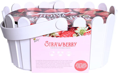 Buzzy Seeds Strawberry Grow Kit Pink Picket Fence Berry Basket with Grandian Seeds, Indoor Planting Starter Kit, DIY Garden Project, Gardening Gift for Women