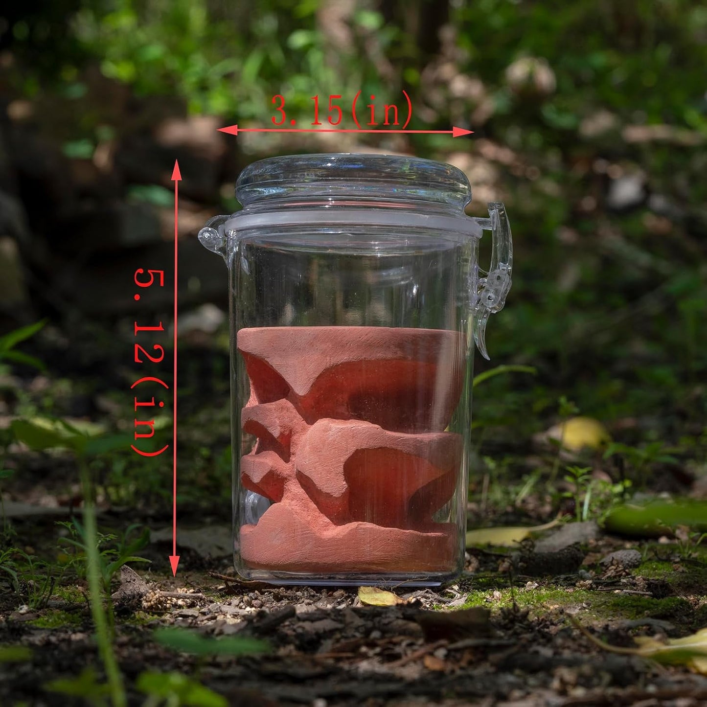 Ant Farm Adult ant Farm ant House pc Material Transparent Plaster Liner ant Observation Behavior Study Live Ants and Queen ant Lovers Educational ant nest Suitable for Children and Lovers Gift