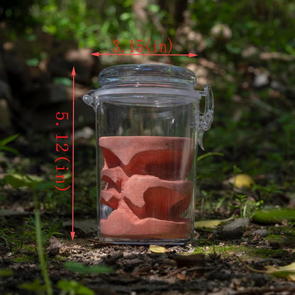 Ant Farm Adult ant Farm ant House pc Material Transparent Plaster Liner ant Observation Behavior Study Live Ants and Queen ant Lovers Educational ant nest Suitable for Children and Lovers Gift