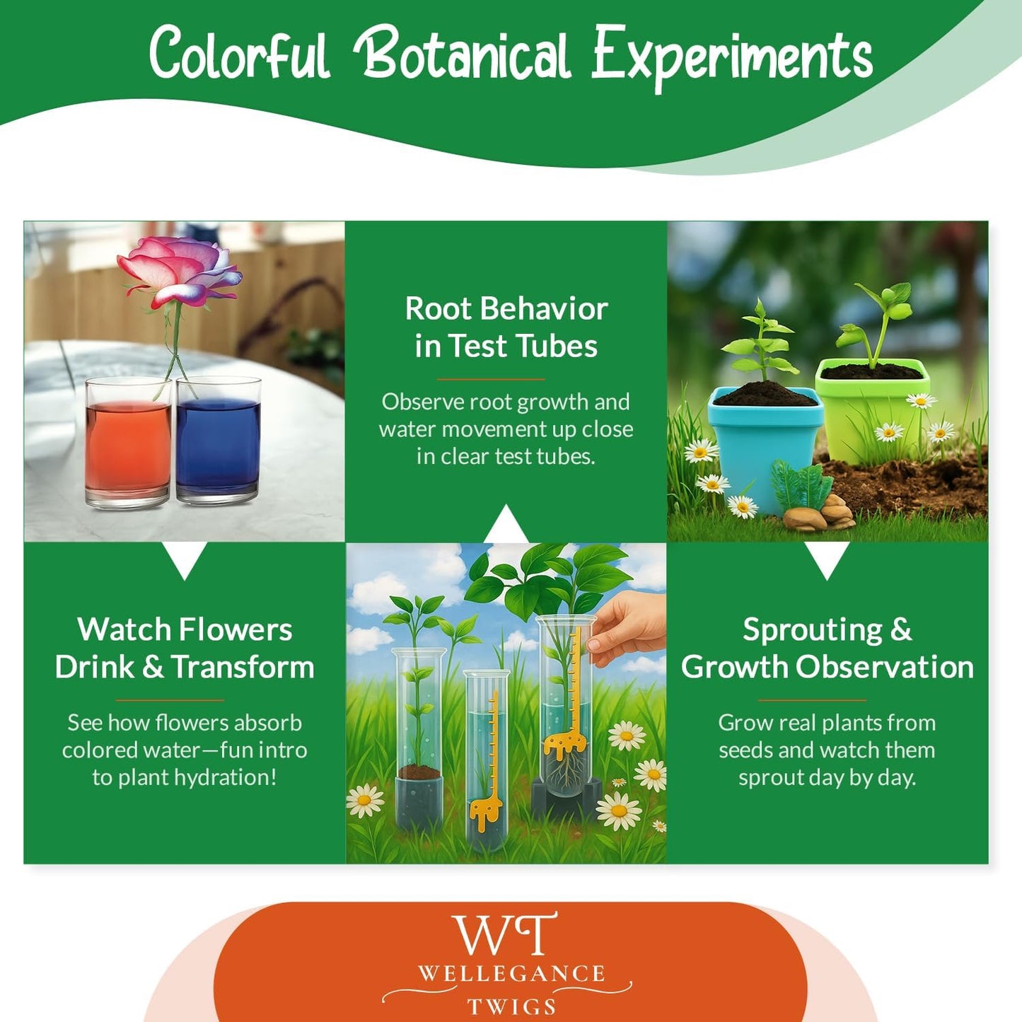 Plant Growing Science Kit for Kids - 19 Botany Experiments with Hydroponic Growing, Root Science & Transpiration - STEM Gardening Gift for Boys & Girls - Birthday Gift Ages 8, 9, 10, 11, 12