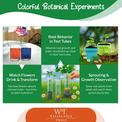 Plant Growing Science Kit for Kids - 19 Botany Experiments with Hydroponic Growing, Root Science & Transpiration - STEM Gardening Gift for Boys & Girls - Birthday Gift Ages 8, 9, 10, 11, 12
