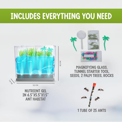 LED Lighted Gel Ecosystem Ant Habitat with 25 Live Ants - Eco-Terrarium Set - Includes Nutrient Gel, Seeds, Palm Trees, Rocks, and More