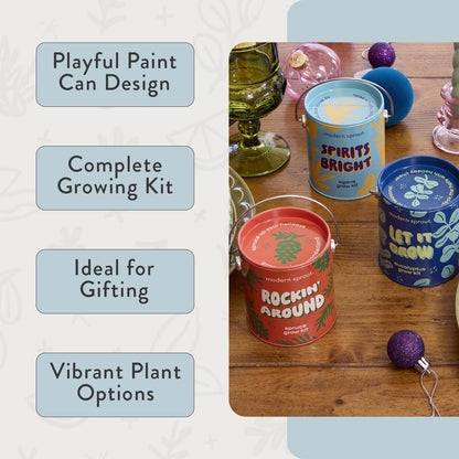 Modern Sprout Complimentary Color Grow Kits (Pack of 4) - Gift for Plant Lovers - Seed Starter Kit - Includes Organic Strawberry Tomato Sunflower & Cactus Seeds - Gardening Gifts that Grows with Love