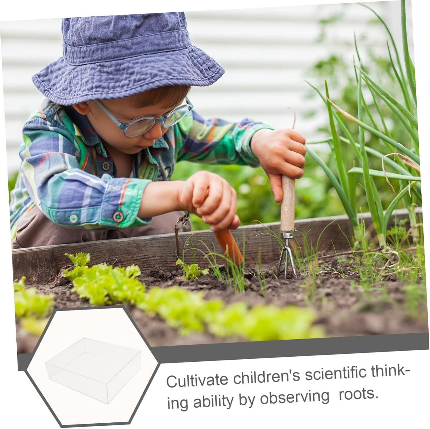 VICASKY Boy Girl Gardening Mini Greenhouse Root Viewer Educational Starter Trays for Indoor Plant Growth and Science Exploration Transparent Design for Young Learners