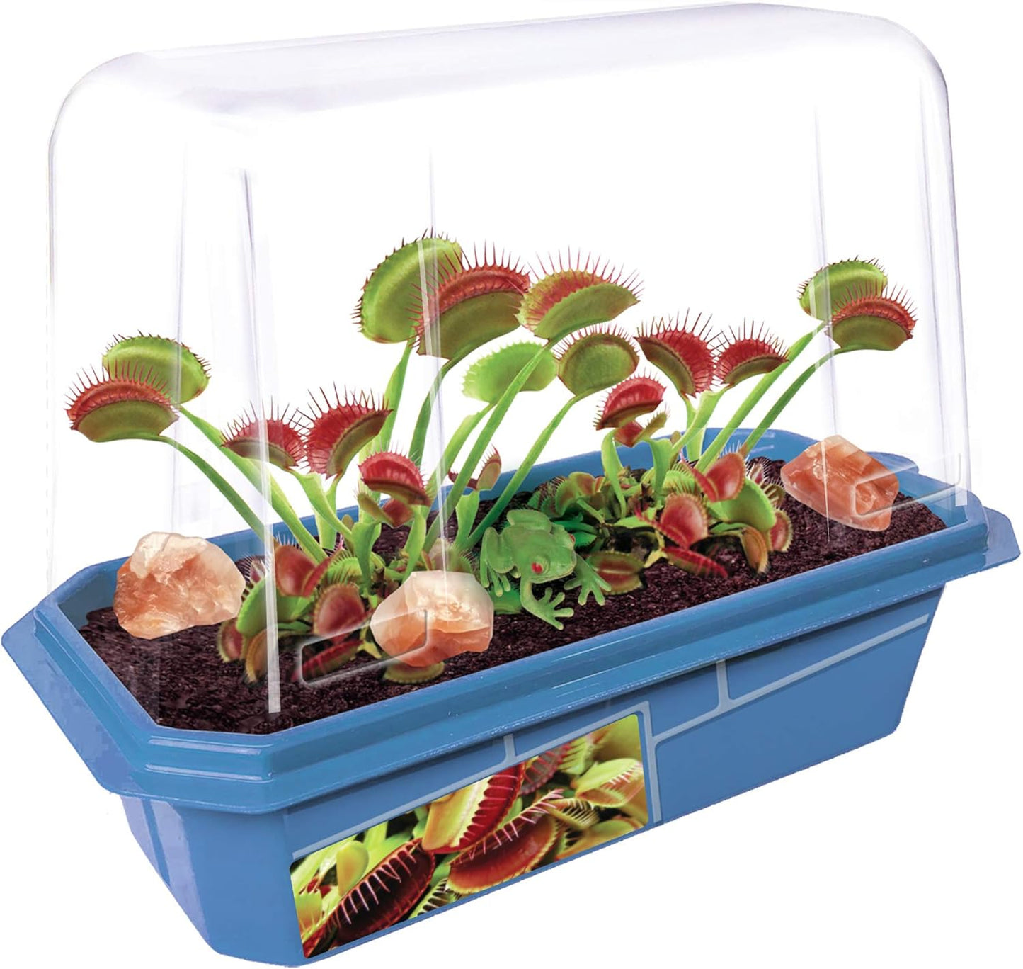 Toys By Nature Miniature Worlds Terrifying Venus Flytrap Terrarium Starter Kit for Kids and Adults, Watch Indoor Carnivorous Fly Traps Grow! Just Add Water! (Frightening Flytraps)