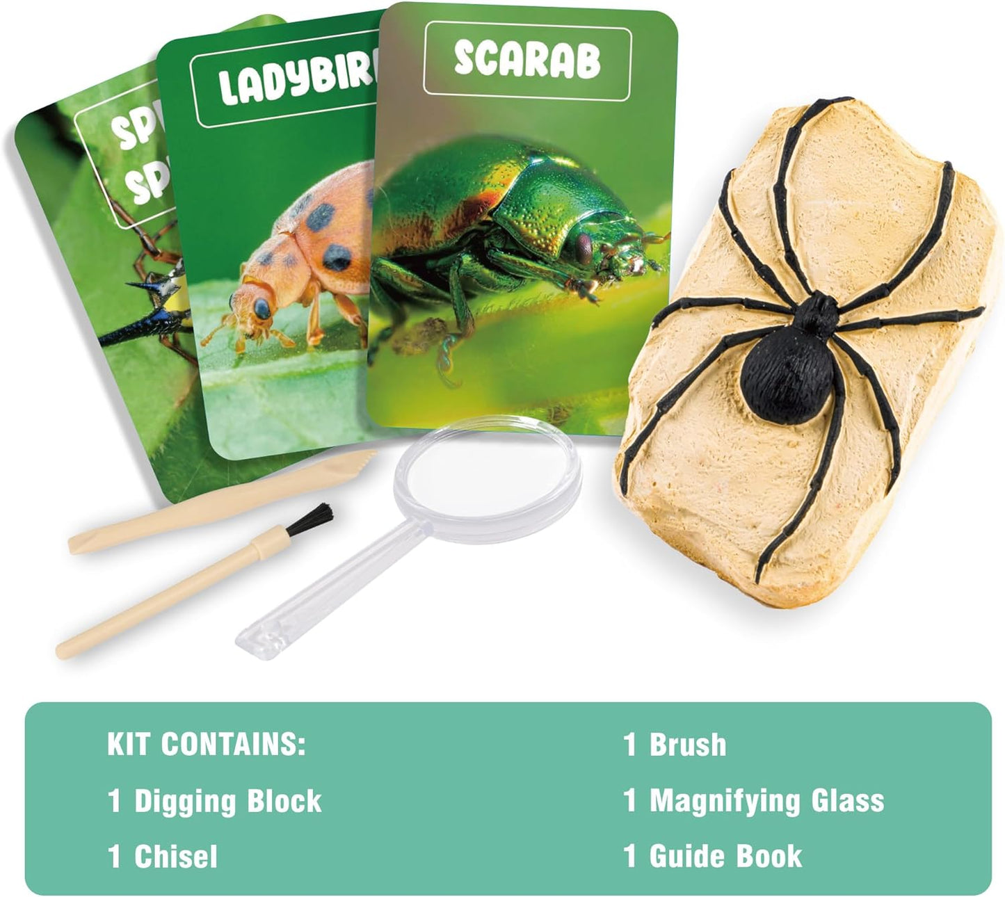 Real Amber Bug Dig Kit for Kids - STEM Science Toy with 3 Genuine Insect Specimens Preserved in Resin - Archaeology Excavation Activity - Educational Gift for Boys & Girls Ages 6+
