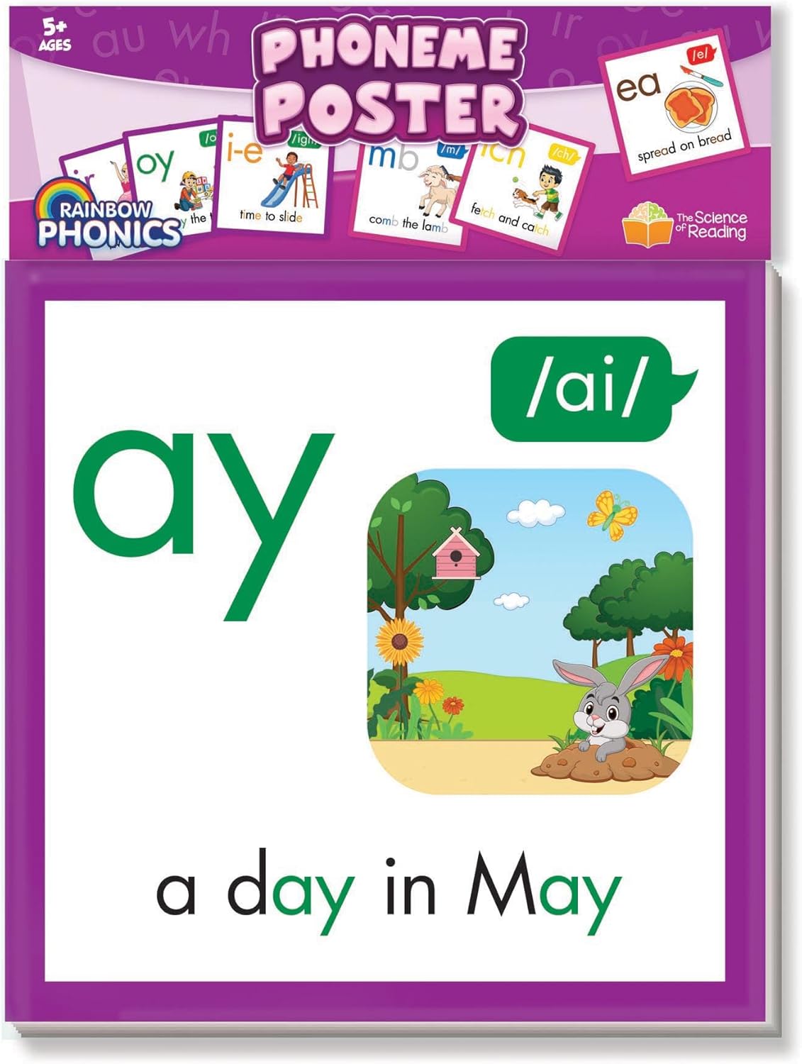 Junior Learning: Rainbow Phonics: Phoneme Poster - Visuals Represent Word Image & Sound Connections, Can Be Used As Flash Cards, Learning Kids Ages 4+