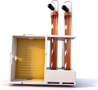 Ant Farm Kit Formicarium & Science Habitat – 3D Printed Nest Natural Sand & Dual Moisturizing System – Educational Observation for Beginners & Adults (Concept Labyrinth)