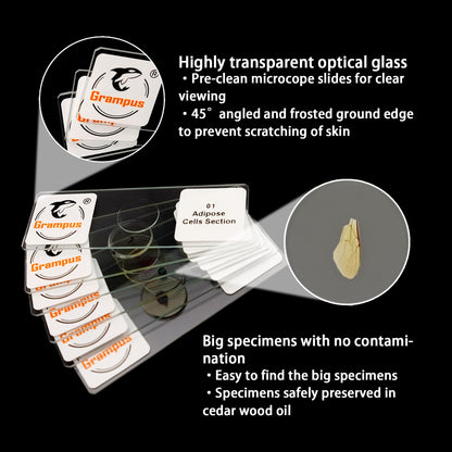 30 Prepared Microscope Slides with Specimens for Kids Students - Plants, for Biological Science Lab, Children's Science Education, Homeschooling Use