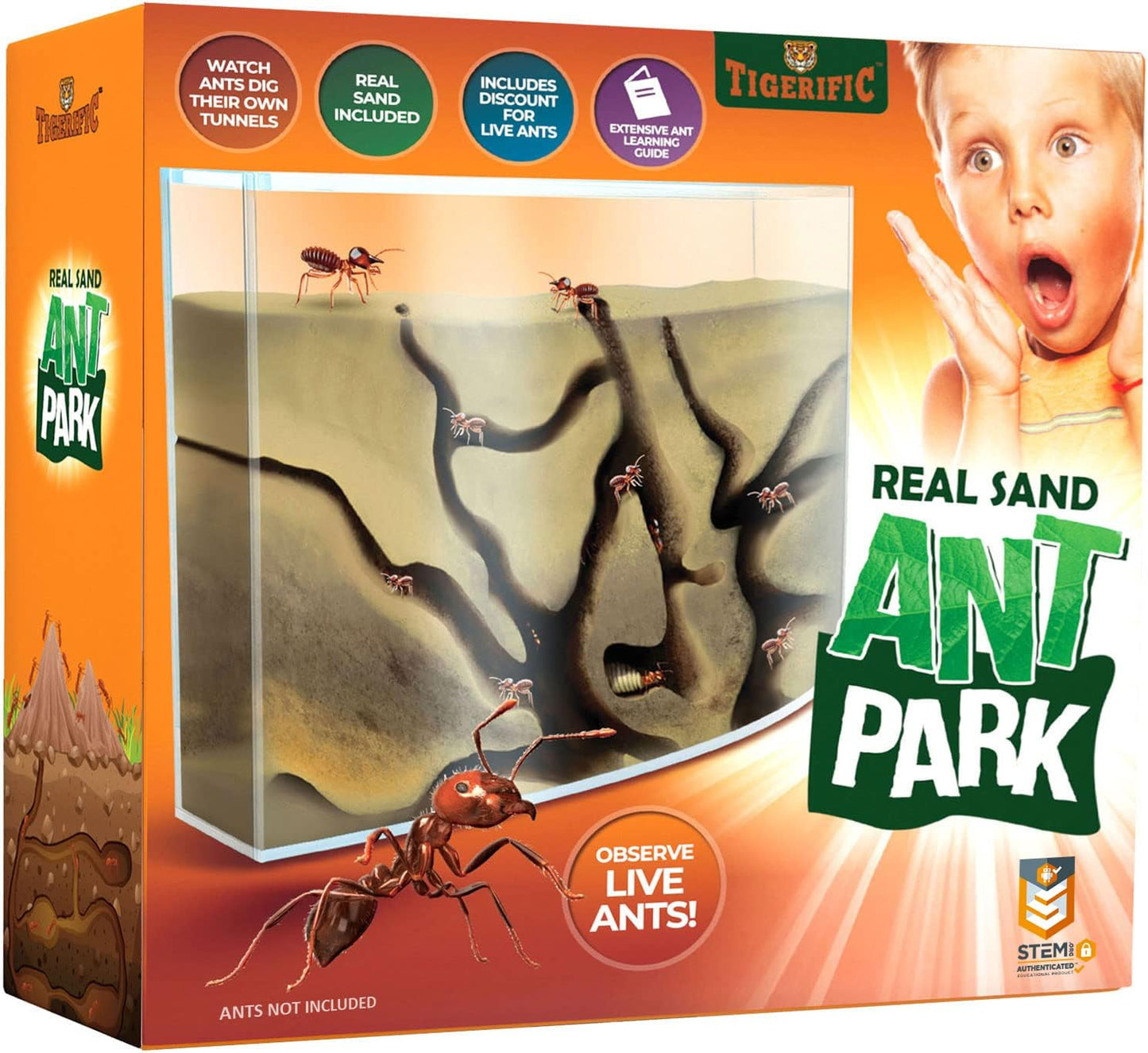 Ant Farm for Live Ants - Real Sand Ant Colony Kit for Kids -Fun Science Habitat Set for Children, Watch Ants Dig Tunnels, Carry Sand, Hide and Drag Their Food