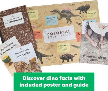 KiwiCo Dinosaur Fossil Dig Kit, STEM Paleontology Science Set for Kids Ages 6+, Excavate and Build Skeleton, Facts Poster