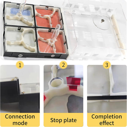Plaster Test Tube Adult ant Farm Acrylic Transparent ant Observation Behavior Study Live Ants and Queen Education ant nest Small Colony breeding Area Suitable for Children and Enthusiasts Gift