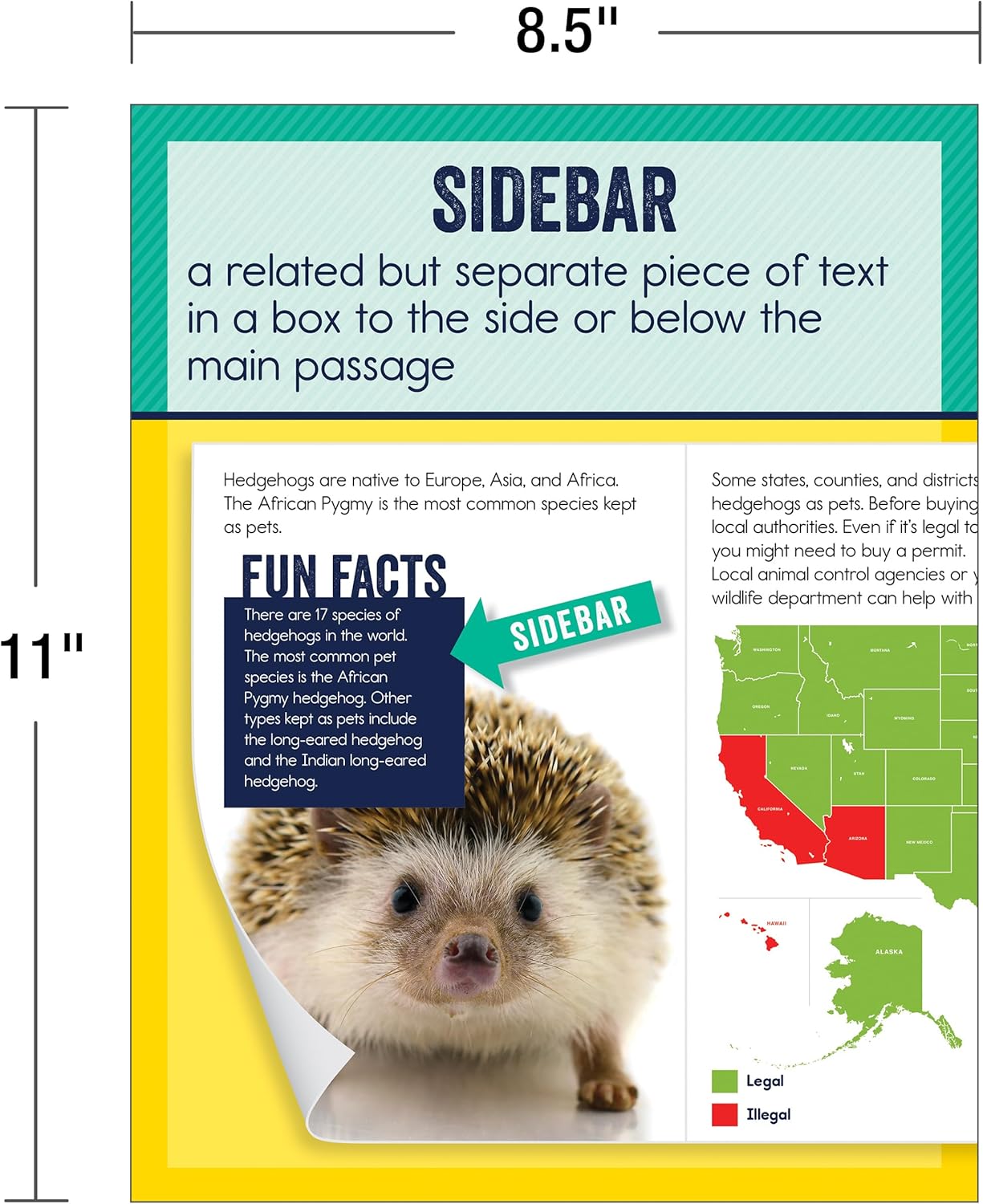 Carson Dellosa 14-Piece Mathematics Strategy Posters, 8.5" x 11" Wall Art Ten Frame, Counting, Number Line, Math Manipulatives, Facts, and More Strategies, Classroom Decor and Teacher Supplies