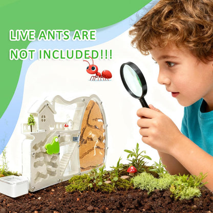 ELNMLHT Ant Farm Castle with Forage Box, Large Sand Ant Colony Observation Kit, Ant Viewing Habitat Science Kit, Science Educational Gift for Kids