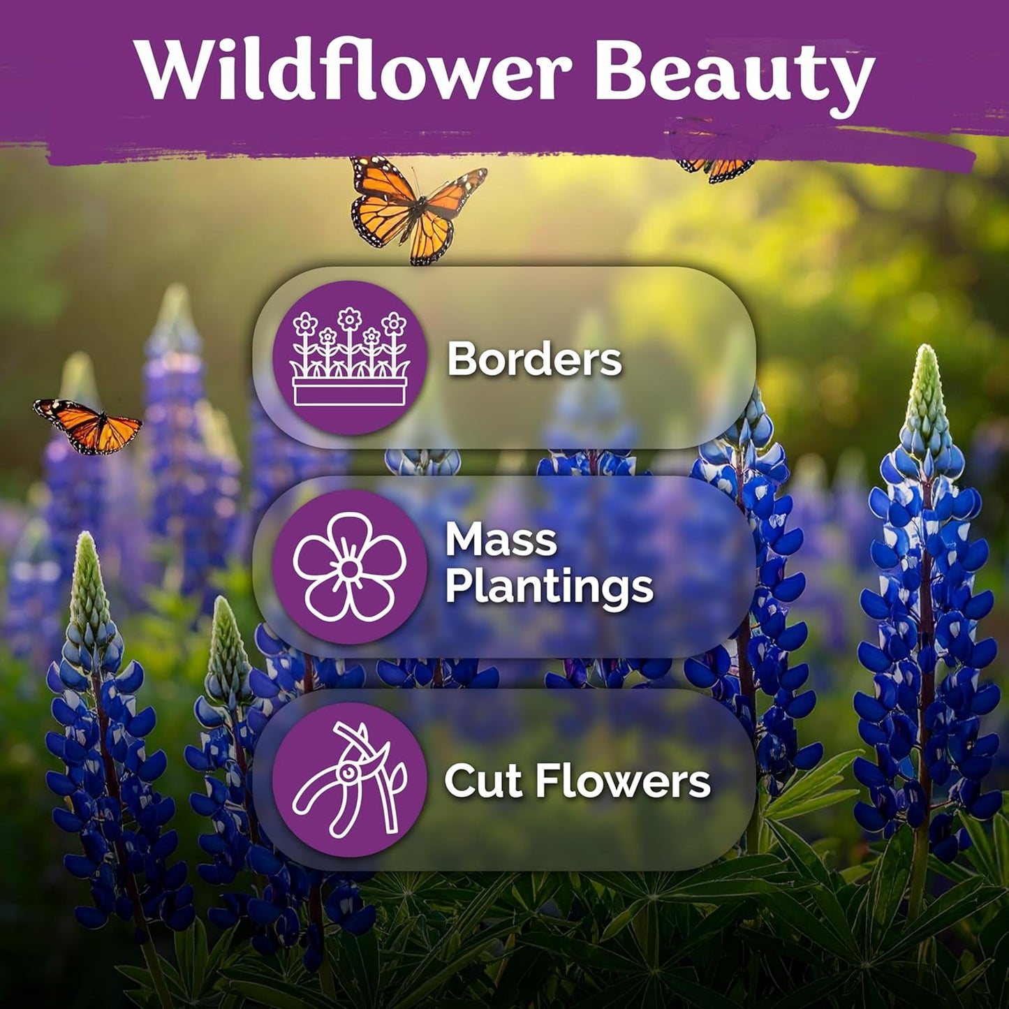 KVITER 5,500 Fairy Bouquet Mix Snapdragon Seeds for Planting (Linaria Maroccana) – Known as Toadflax, Heirloom & Organic – Flower Seeds to Plant Outside & Inside – Garden, Containers, Borders, Beds