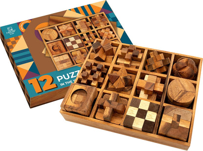 BSIRI 16 in 1 Wooden Brain Teaser Puzzles for Adults and Teens or Kids Interlocking 3D Mini Wood Mind Games Hand Puzzle Teasers Set Toys Coffee Table Games Gift