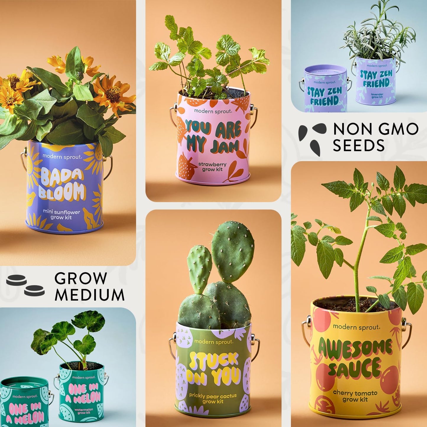 Modern Sprout Complimentary Color Grow Kits (Pack of 4) - Gift for Plant Lovers - Seed Starter Kit - Includes Organic Strawberry Tomato Sunflower & Cactus Seeds - Gardening Gifts that Grows with Love