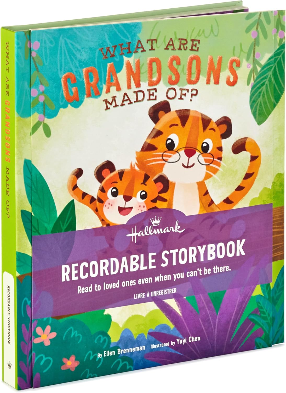 Hallmark Recordable Book for Children (What are Grandsons Made of?) Easter Basket Stuffers