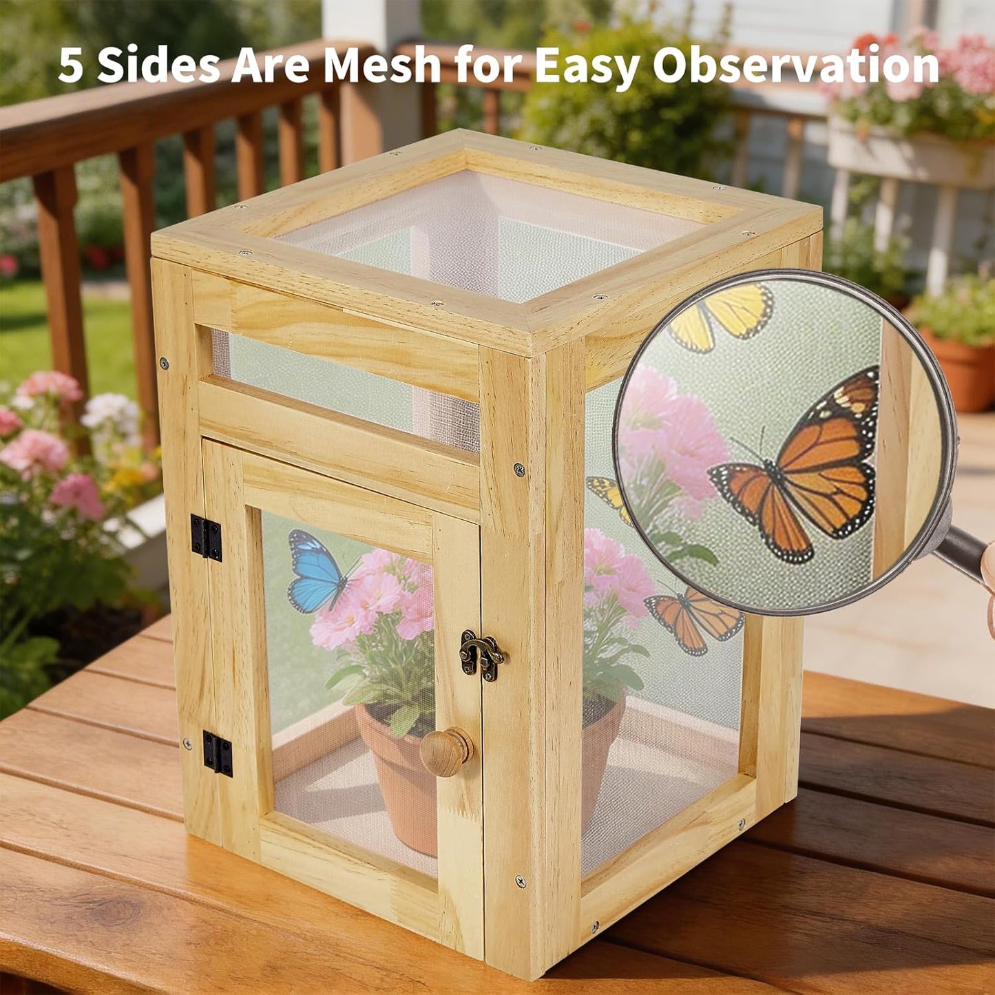 Small Butterfly Growing Kit - Butterfly Habitat Cage Kit