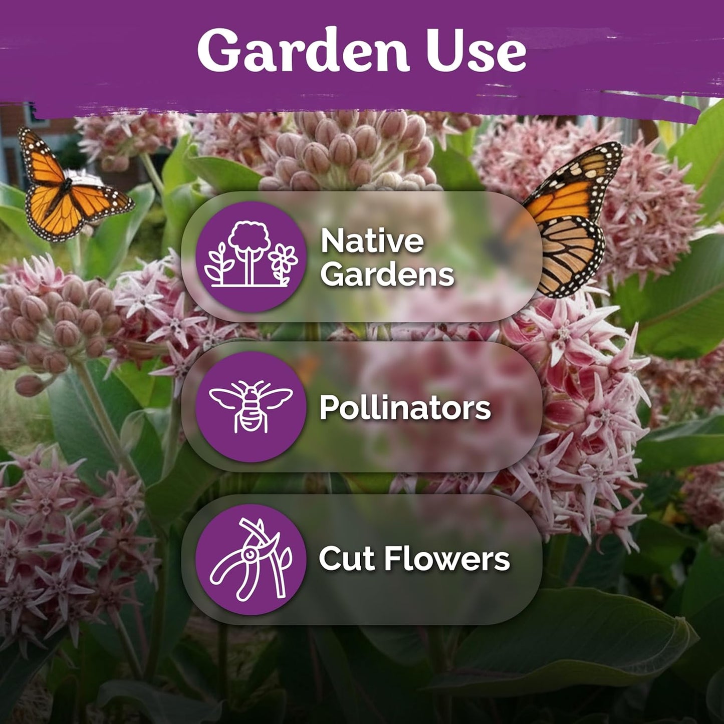 KVITER 5,500 Fairy Bouquet Mix Snapdragon Seeds for Planting (Linaria Maroccana) – Known as Toadflax, Heirloom & Organic – Flower Seeds to Plant Outside & Inside – Garden, Containers, Borders, Beds