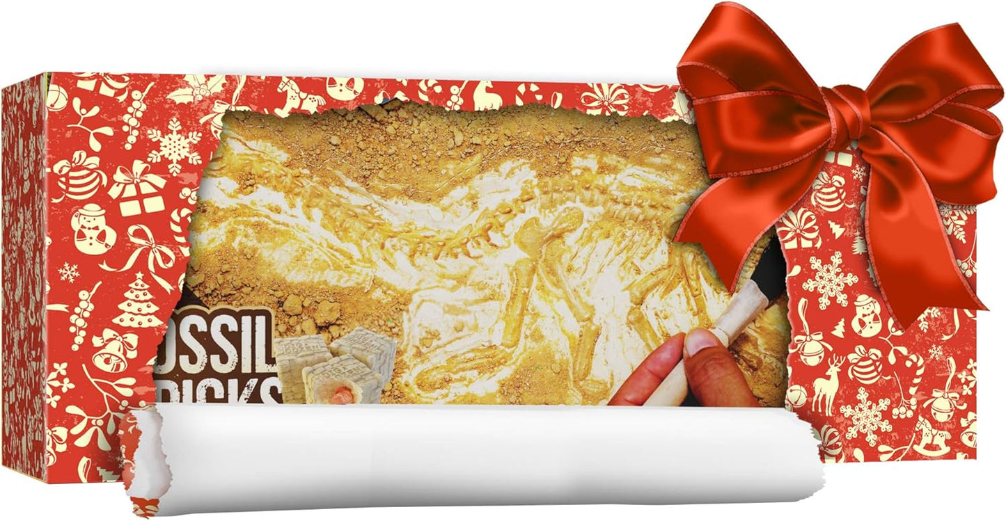Dan&Darci Dig a Dozen Fossil Bricks - Break Open 12 Blocks and Discover 12 Unique Real Fossils - Basket Stuffers Archaeology Science STEM - Birthday Gift