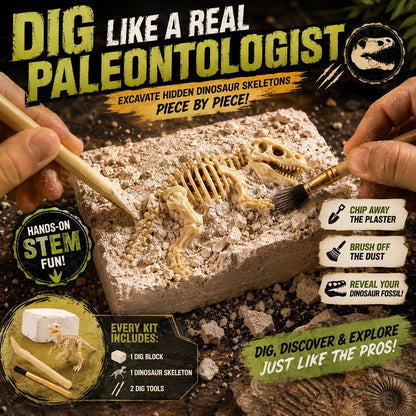 12 Pack Dinosaur Excavation Dig Kit for Kids, Dino Fossil Dig Kits with 3D Skeleton Toys, Bulk STEM Science Paleontology Archaeology Educational Toys, Birthday Party Favors for Boys Girls
