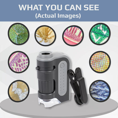 Carson MicroBrite Plus 60x-120x Accurate LED Lighted Pocket Microscope, Portable Educational STEM Toy, Mini Handheld Microscope for Student Science Lab (MM-300) , Grey