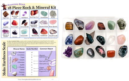 DANCING BEAR 18 Pc Rock and Mineral Educational Collection & Deluxe Collection Box with Description Sheet and Educational Information. Limited Edition, Geology Gem Kit for Kids with Display Case