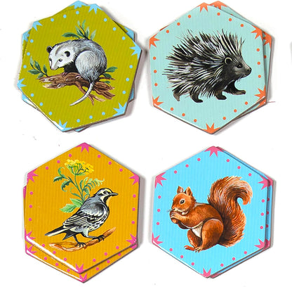 eeBoo: Memory and Matching Game - Life on Earth- 24 Pairs, Develops Recognition, Concentration, Memory & Vocabulary Skills, Age 3+