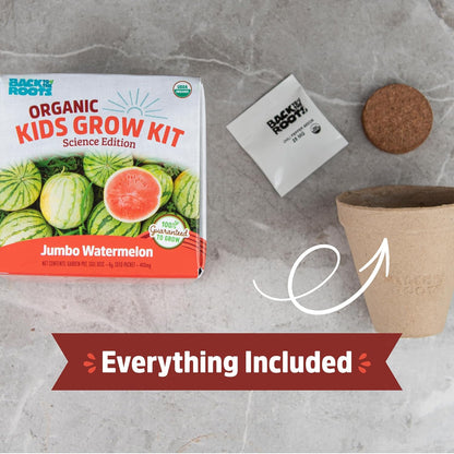 Back to the Roots Terrarium Grow Kit - Easy-to-Use DIY Set for All Ages Small