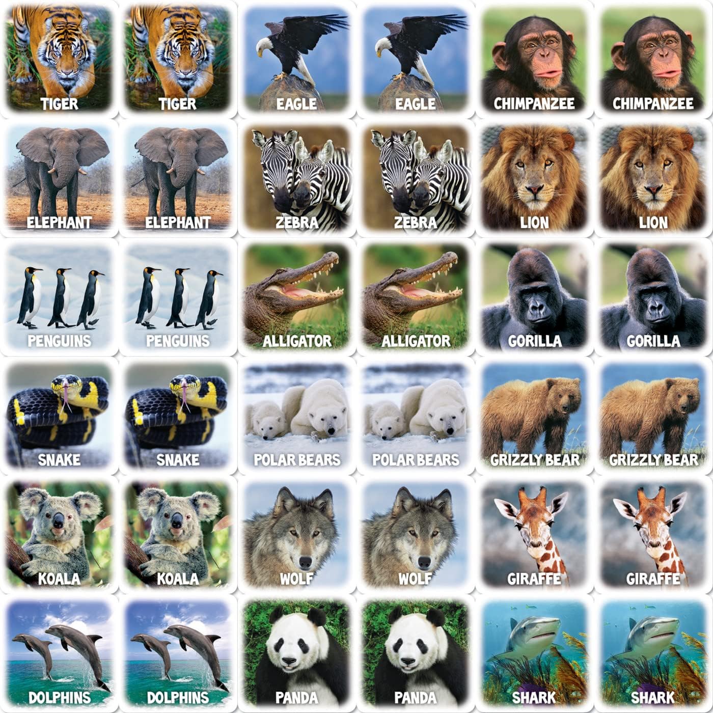 MasterPieces Officially Licensed CAT Picture Matching Card Game for Kids and Families
