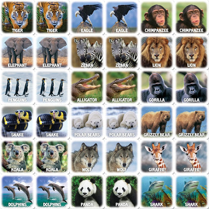 MasterPieces Officially Licensed CAT Picture Matching Card Game for Kids and Families