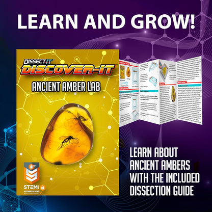Dissect-It Discover-It Dinosaur Dig Kit, Dissecting Gel Kids Science Kit Project to Learn Anatomy, STEM Toys for Ages 6 and Above