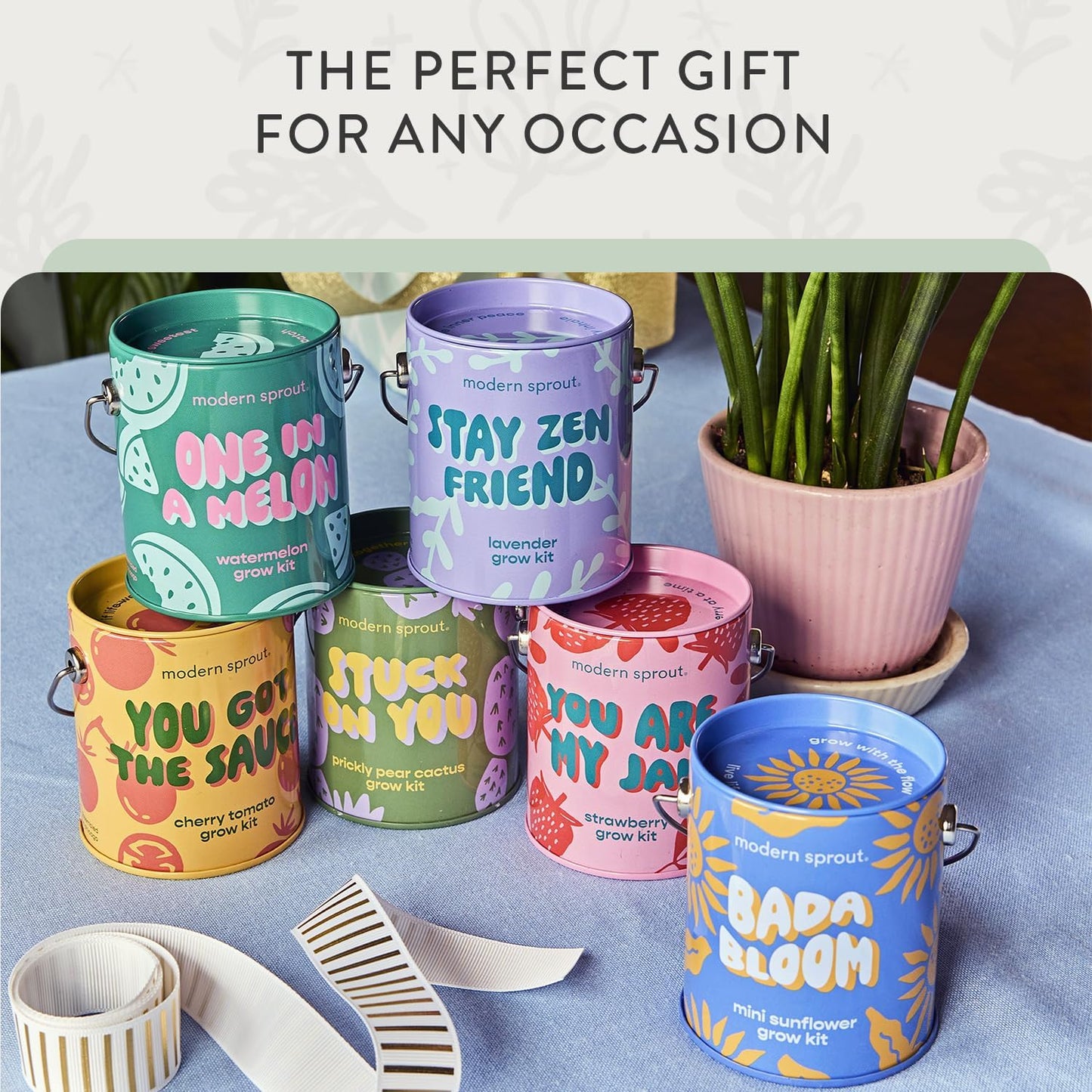 Modern Sprout Complimentary Color Grow Kits (Pack of 4) - Gift for Plant Lovers - Seed Starter Kit - Includes Organic Strawberry Tomato Sunflower & Cactus Seeds - Gardening Gifts that Grows with Love