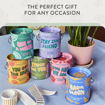 Modern Sprout Complimentary Color Grow Kits (Pack of 4) - Gift for Plant Lovers - Seed Starter Kit - Includes Organic Strawberry Tomato Sunflower & Cactus Seeds - Gardening Gifts that Grows with Love