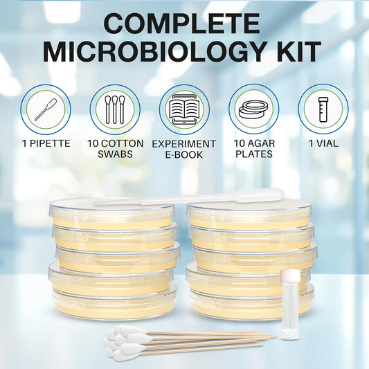 Evviva Sciences Microbiology Science Project Kit, Pre-Poured Agar Plates for Students, Agar Petri Dishes to Learn Microbiology, with Educational Experiment eBook