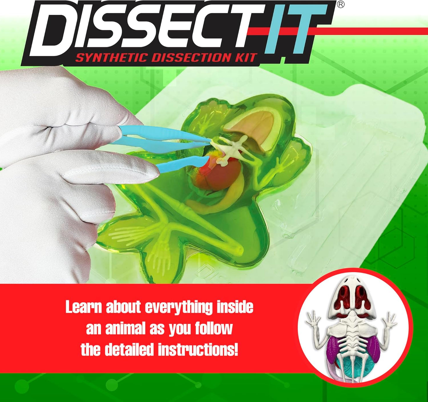 Dissect-It Discover-It Dinosaur Dig Kit, Dissecting Gel Kids Science Kit Project to Learn Anatomy, STEM Toys for Ages 6 and Above