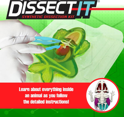 Dissect-It Discover-It Dinosaur Dig Kit, Dissecting Gel Kids Science Kit Project to Learn Anatomy, STEM Toys for Ages 6 and Above
