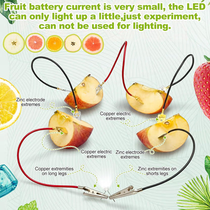Soulchen 12 Sets Fruit Battery Scientific Experiment Kit with Electronic Clock for Home Teaching Accessories, Orange Lemon Potato Battery Physics Teaching Experiment Educational