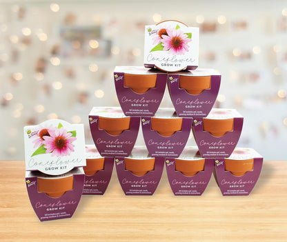 BUZZY Seeds 12-Pack Sunflower Mini Grow Pots – All-in-One Terracotta Flower Starter Kit with Growing Medium, DIY Gardening, Wedding and Shower Favors