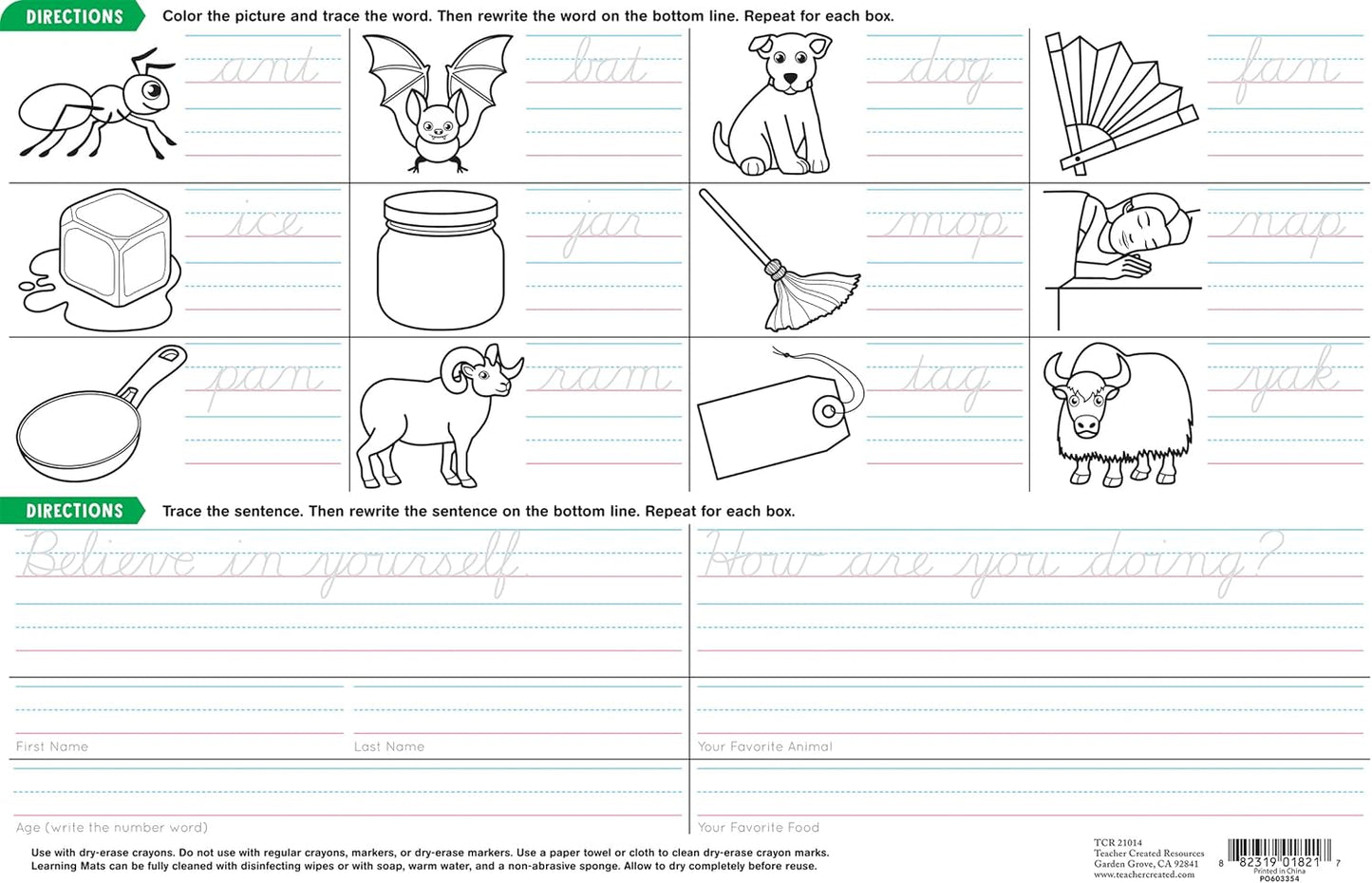 Teacher Created Resources Phonics Learning Mat