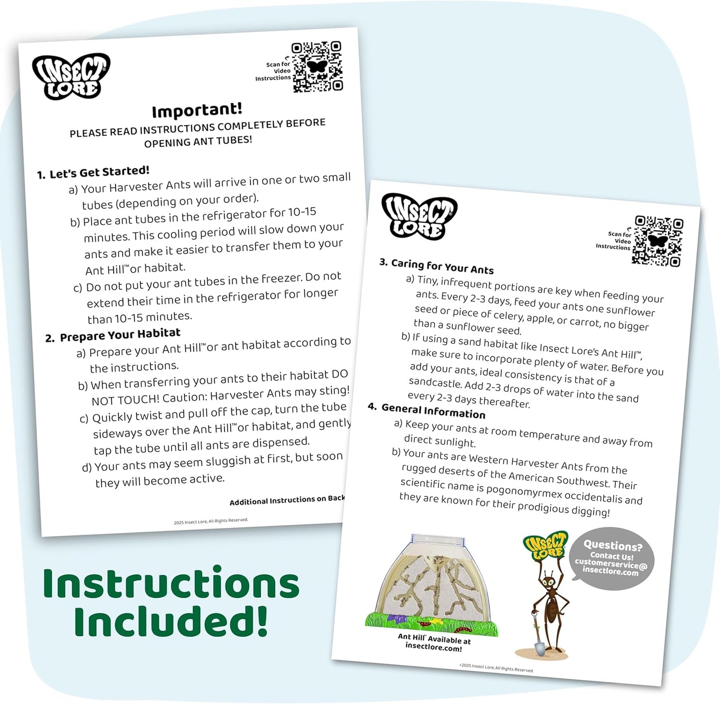 Insect Lore 100 Native Western Harvester Ants - Grown in The USA - Ant Habitat Refill - Includes Wildflower Seeds