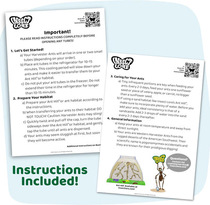 Insect Lore 100 Native Western Harvester Ants - Grown in The USA - Ant Habitat Refill - Includes Wildflower Seeds