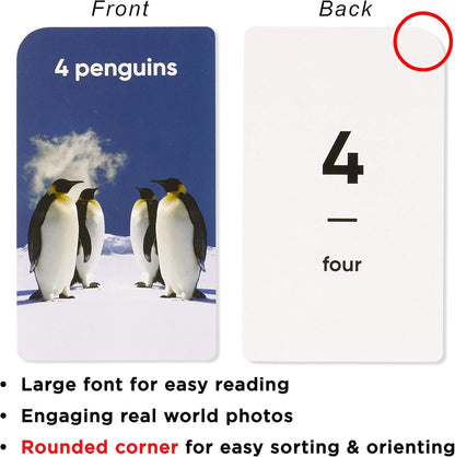 Award-Winning Flash Cards for Preschool & Kindergarten – 5-Deck Set, 180 Jumbo Cards – Learn Alphabet, Numbers, Colors, Shapes, First Words, Opposites & Rhyming – for Kids Ages 2–5