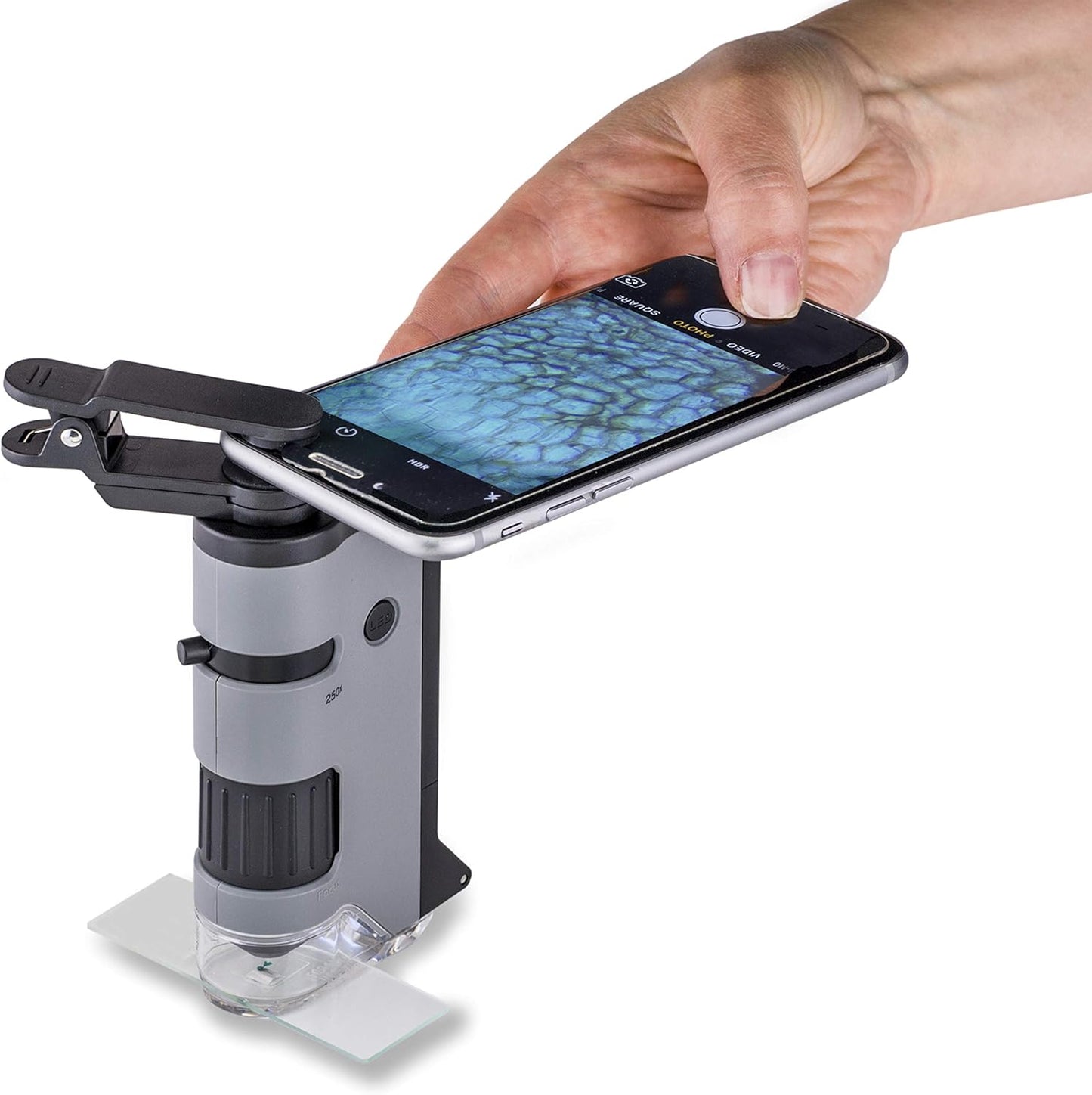 Carson MicroFlip 100x-250x, LED UV Pocket Microscope with Smartphone Clip, STEM Education (MP-250)