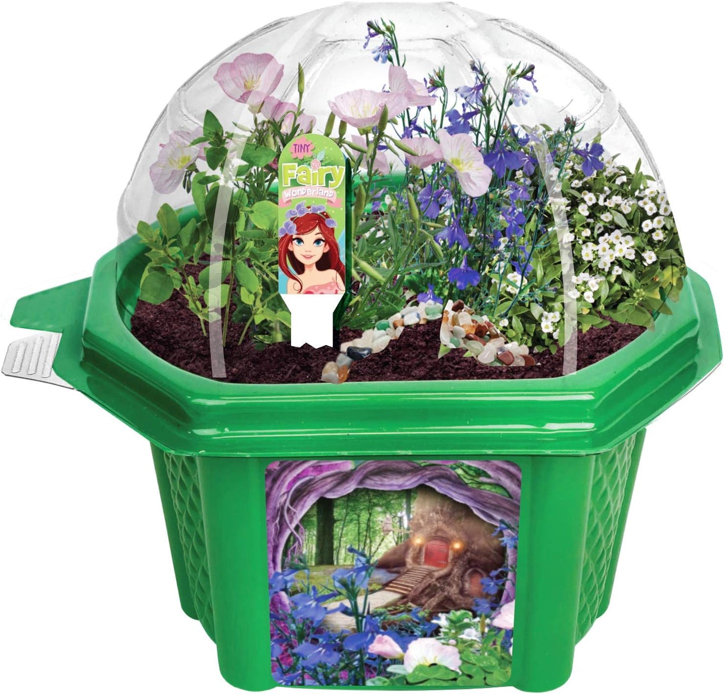 Grow Your Own Mini Fairy Wonderland Microdome Terrarium Starter Kit, Enjoy Sweet Scented Flowers and Grow Indoor Terrariums - Includes Complete Supplies to Create Your Magical Plant Garden