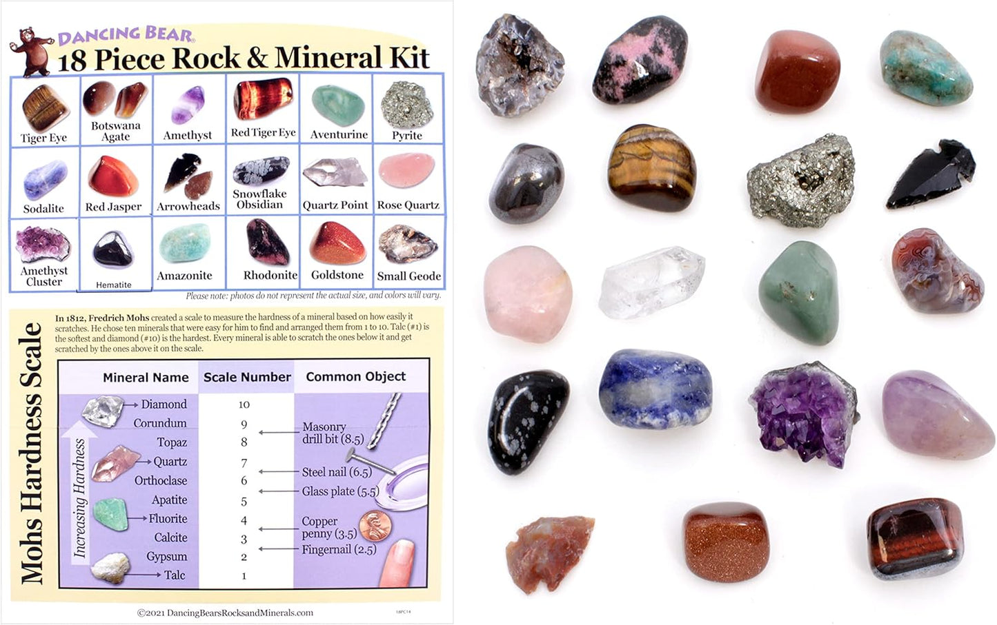 DANCING BEAR 18 Pc Rock and Mineral Educational Collection & Deluxe Collection Box with Description Sheet and Educational Information. Limited Edition, Geology Gem Kit for Kids with Display Case